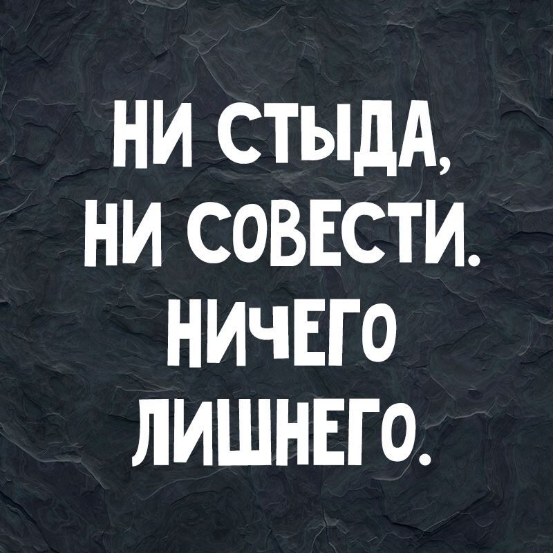 НИ СТЫдА НИ СОВЕСТИ НИЧЕГО ЛИШНЕГО