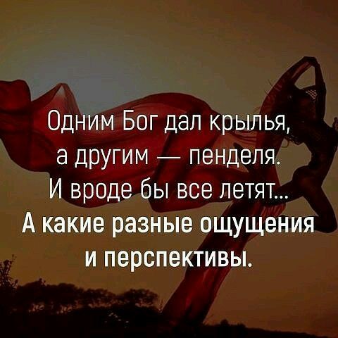 Одним Бог дал крылья а ЦРУгим пенделя И вроде бы все летят А какие разные ощущения и перспективы