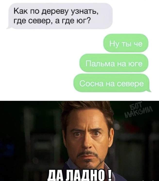 Как по дереву узнать где север а где юг