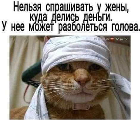 НЕЛЬЗЯ СП ашивать ЖЕНЫ ЕЛИС ЕН ГИ да У нее ЖЙ раз ПТЬСЯ ГОЛОВЗ