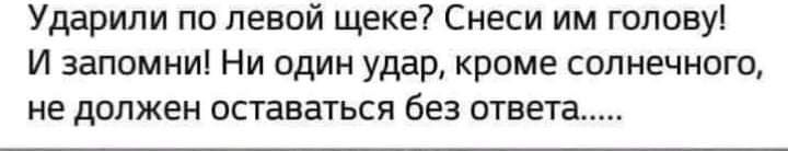 Ударили по левой щеке Снеси им голову И запомни Ни один удар кроме солнечного не должен оставаться без ответа