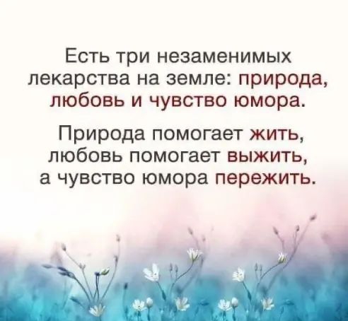 Есть три незаменимых лекарства на земле природа любовь и чувство юмора Природа помогает жить любовь помогает выжить а чувство юмора пережить