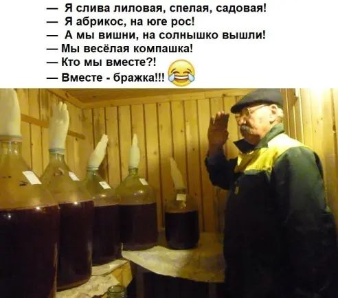 _ я слива липовая спелая садовая я абрикос на юге рос А мы вишни на солнышко вышпи Мы весёлая компзшка КТО мы вместе Вмеые бражка