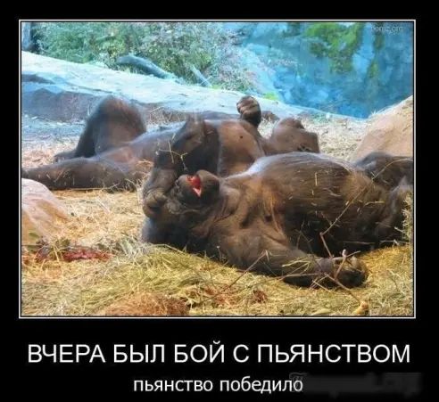 ВЧЕРА БЫЛ БОЙ С ПЬЯНСТВОМ пья нсгво победило