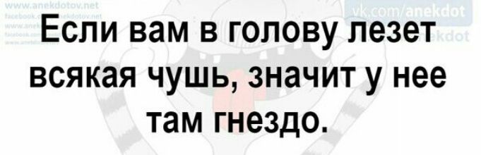 Если вам в голову лезет всякая чушь значит у нее там гнездо