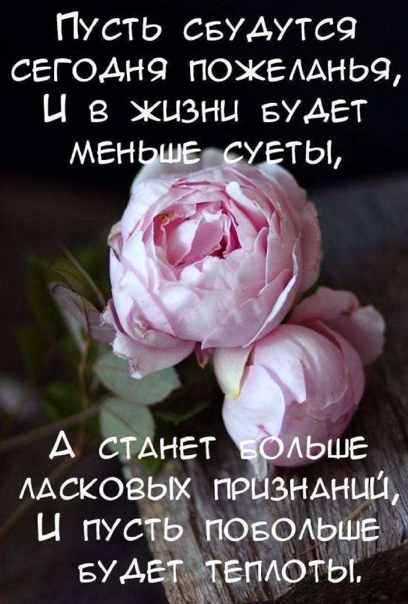 Пусть СБУАУТС9 сггодн9 пожемньч Ц в жизни Будет