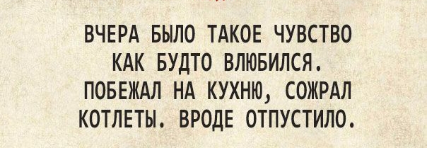 ВЧЕРА БЫЛО ТАКОЕ ЧУВСТВО КАК БУДТО ВЛЮБИЛСЯ ПОБЕЖАЛ НА КУХНЮ СОЖРАЛ КОТЛЕТЫ ВРОДЕ ОТПУСТИЛО