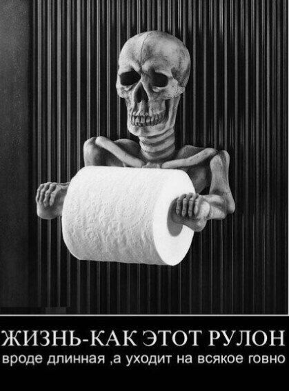 ЖИЗНЬ КАК ЭТОТ РУЛОН вроде длинная а уход на всякое говно