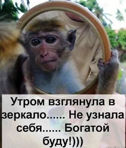 Утром взглянула в еркало Не узнала себя Богатой бУдУ