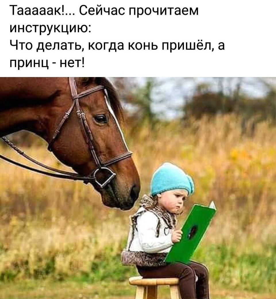 Тааааак Сейчас прочитаем инструкцию Что делать когда конь пришёл а принц нет