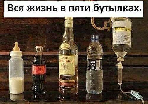 Вся жизнь в пяти бутылках Г