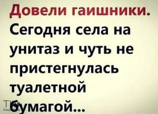 довели гаишники Сегодня села на унитаз и чуть не пристегнулась туалетной Щмагой