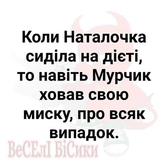 Коли Наталочка сиділа на діеті то навіть Мурчик ховав свою миску про всяк випадок