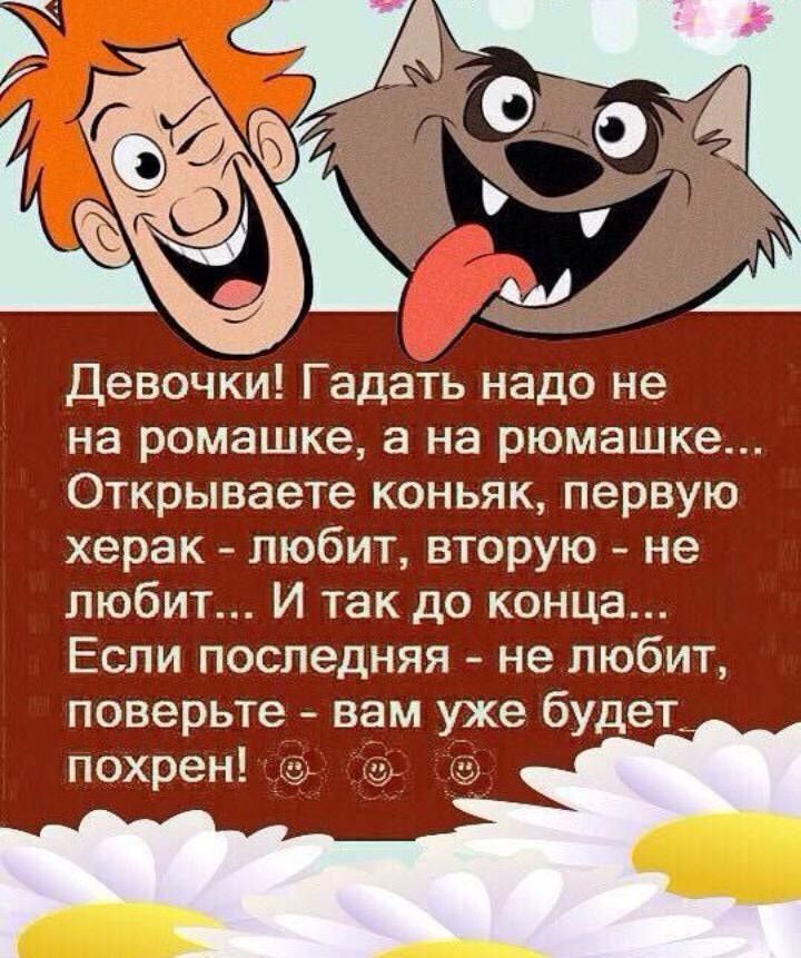 Девочки Гадать надо не на ромашке а на рюмашке Открываетеконьякпервую херак любит вторую не любит И так до конца Если последняя не любит поверьте вам уже будет похрен