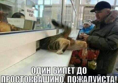 Ш ШПЕЁТГШЗПЩ