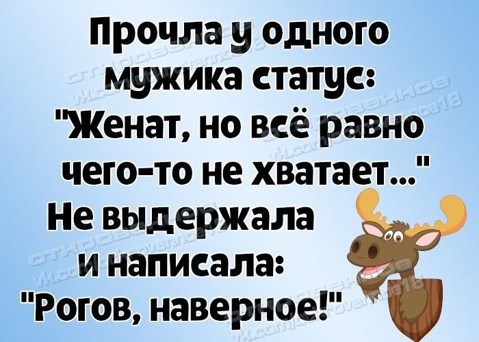 Прочла у одного мужика статус Женат но всё равно чего то не хватает Не выдержала и написала Рогов наверное