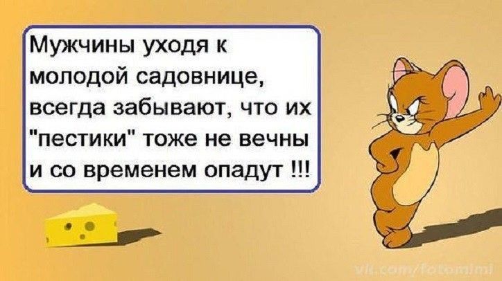 Мужчины уходя к молодой садовнице всегда забывают что их пестики тоже не вечны и со временем опадут