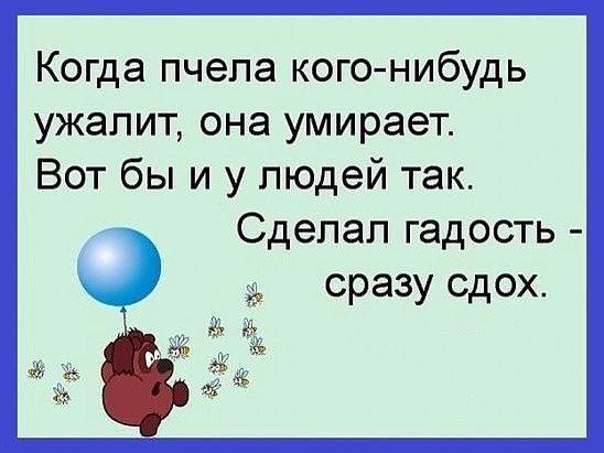 Когда пчела кого нибудь ужапит она умирает Вот бы и у людей так Сделал гадость сразу сдох за да