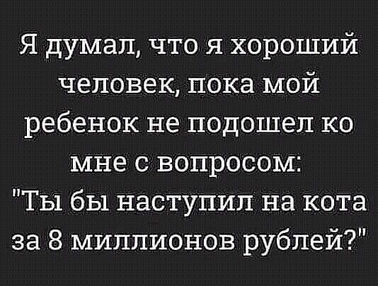 Я думал что я хороший человек пока мой ребенок не подошел ко мне с вопросом Ты бы наступил на кота за 8 миллионов рублей