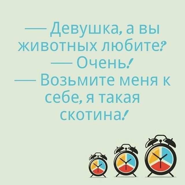 Девушка а вы животных любите Очень Возьмите меня к себе я такая скотина