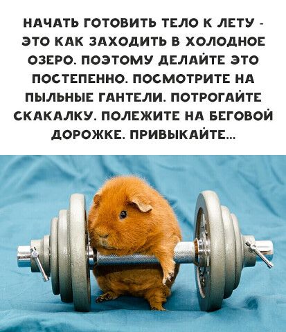 НАЧАТЬ ГОТОВИТЬ ТЕЛО К ЛЕТУ _ ЭТО КАК ЗАХОДИТЬ В ХОЛОДНОЕ ОЗЕРО ПОЭТОМУ дЕЛАЙТЕ ЭТО ПОСТЕПЕНН0 ПОСМОТРИТЕ НА ПЫЛЬНЫЕ ГАНТЕЛИ ПОТРОГАЙТЕ СКАКАЛКУ ПОЛЕЖИТЕ НА БЕГОВОЙ дОРОЖКЕ ПРИВЫКАЙТЕ