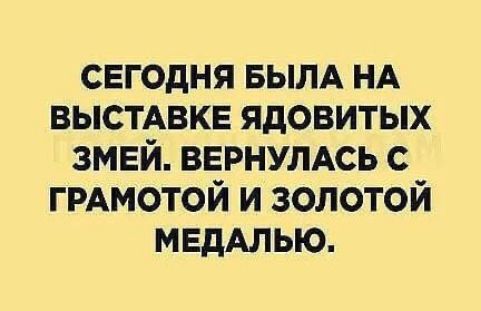 сегодня вылд НА ВЫСТАВКЕ ядовитых змей ВЕРНУЛАСЬ ГРАМОТОЙ и золотой МЕдАЛЬЮ