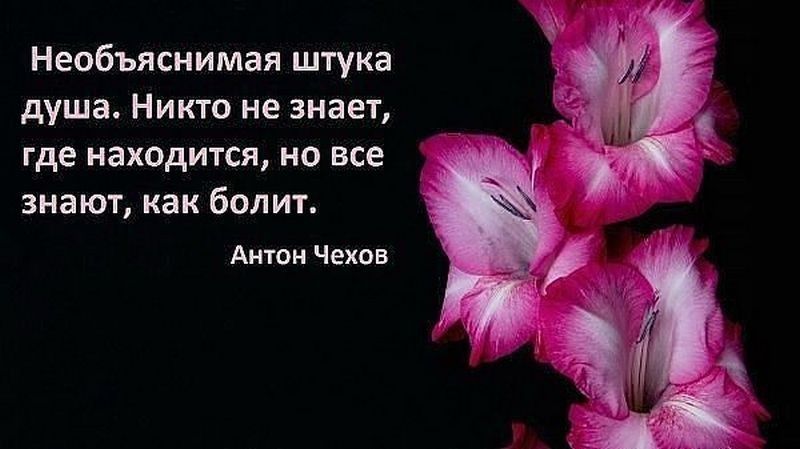 Необъяснимая штука душа Никто не знает где находится но все знают как болит Антон Чехов