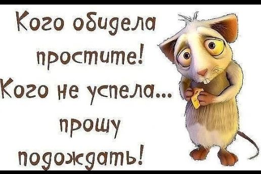 Кого обиуела ЁЮЁ простите С Кого не успела 5 прошу