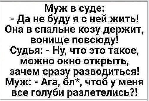 Муж в суде Да не буду я с ней жить Она в спальне козу держит вонище повсюду Судья Ну что это такое можно окно открыть зачем сразу разводиться Муж Ага бл чтоб у меня все голуби разлетелись