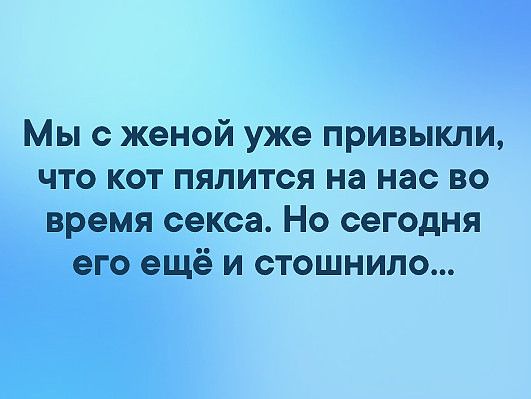 Мы с женой уже привыкли что кот пялится на нас во время секса Но сегодня его ещё и стошнило