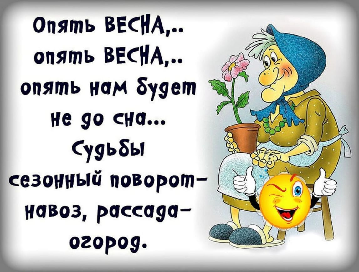 опять ВЕСНА опять ВЕСНА опять нам буует не 90 сна Судьбы сезонный поворот навоз рассауа