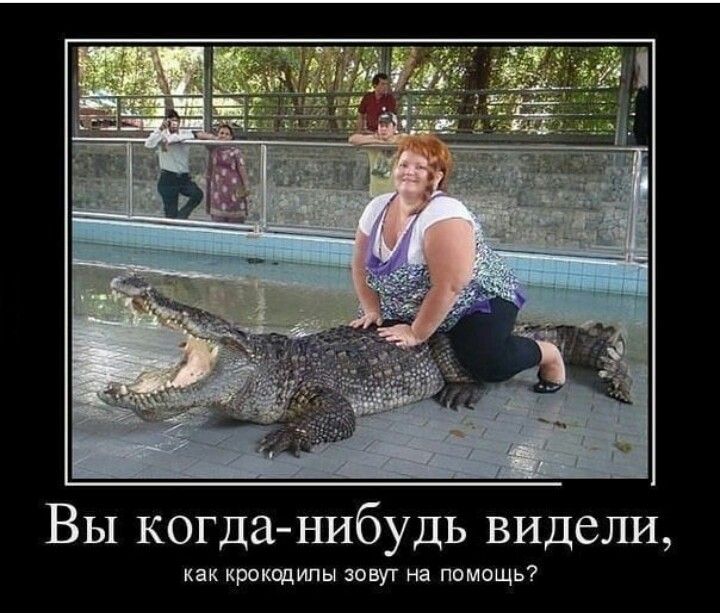 Вы когданибудь видели как КРОКЩИПЫ ЗОВУТ на ПОМОЩЬ