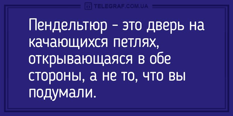 Пендельтюр это дверь на качающихся петлях открывающаяся в обе стороны а не то что вы подумали