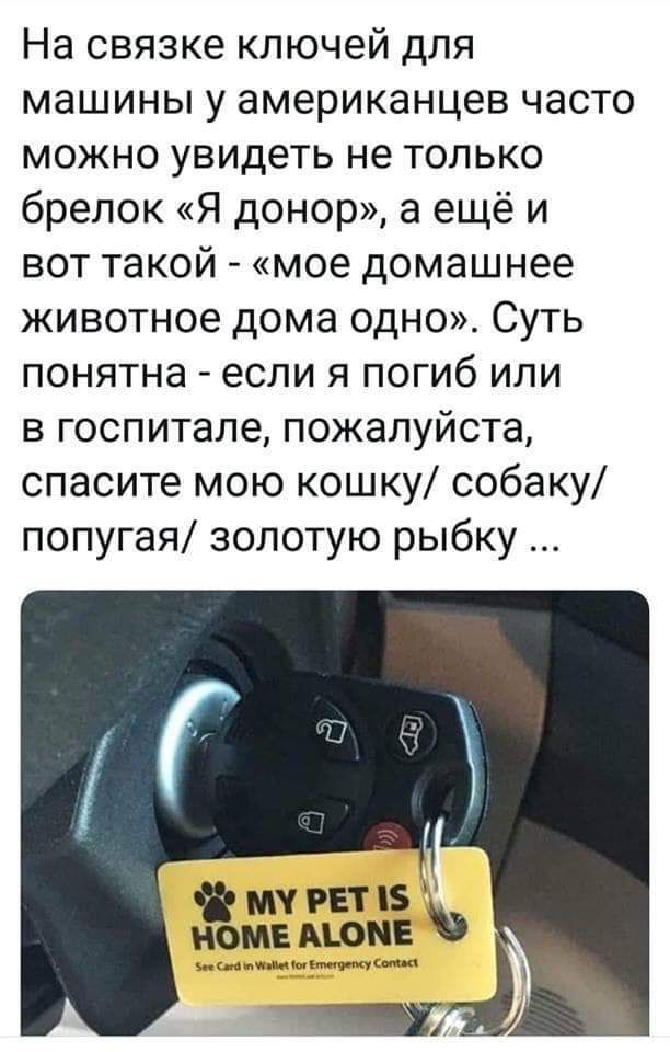 На связке ключей для машины у американцев часто можно увидеть не только брелок Я донор а ещё и вот такой мое домашнее животное дома одно Суть понятна если я погиб или в госпитале пожалуйста спасите мою кошку собаку попугая золотую рыбку МЧ РЕТ З НОМЕ АШМЕ м и мишки
