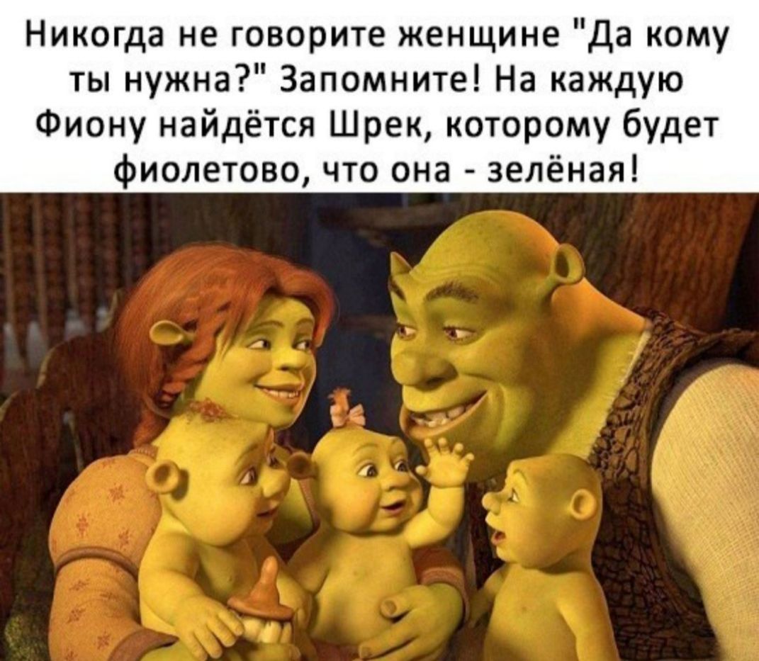 Никогда не говорите женщине да кому ты нужна Запомните На каждую Фиону найдётся Шрек которому будет фиолетово что она зелёная