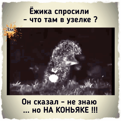 Ёжика спросили что там в узелке Он сказал не знаю но НА КОНЬЯКЕ