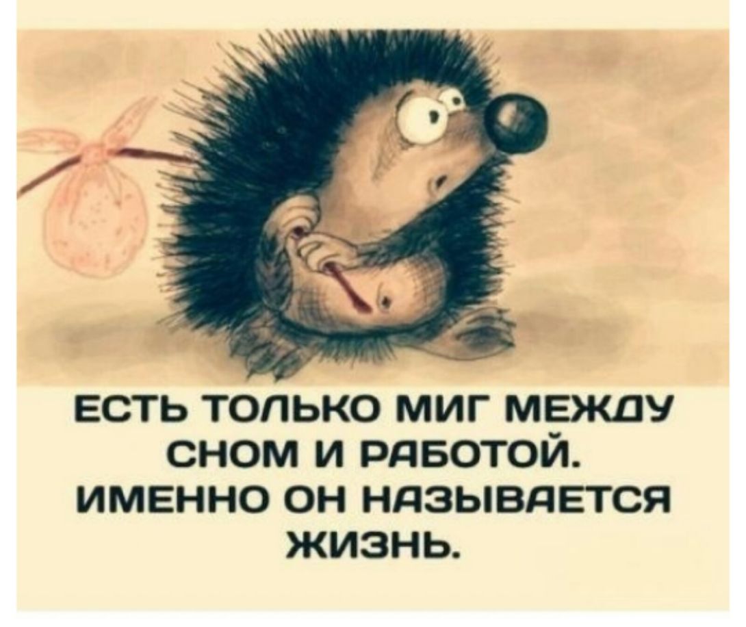 есть только миг между сном и рдвотой именно он ндзывдвтся жизнь