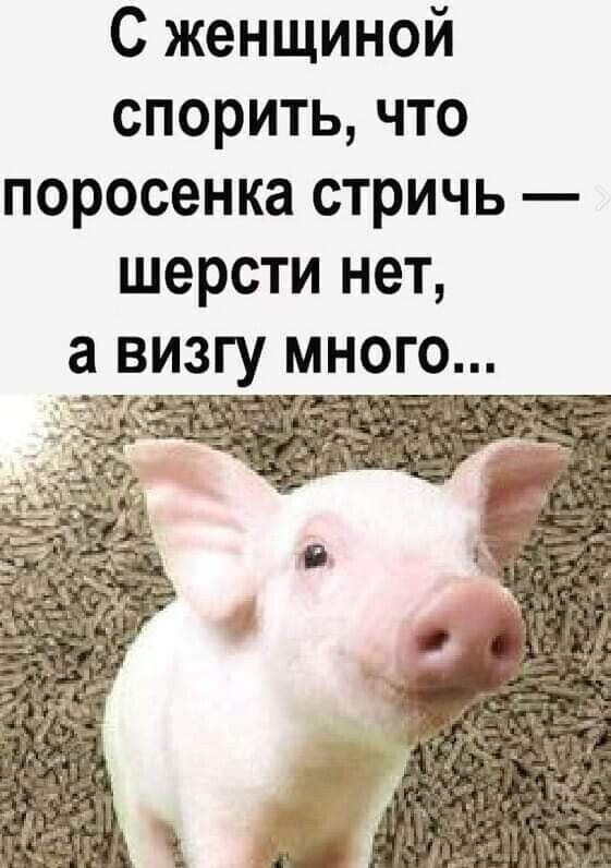 С женщиной спорить что поросенка стричь шерсти нет а визгу много