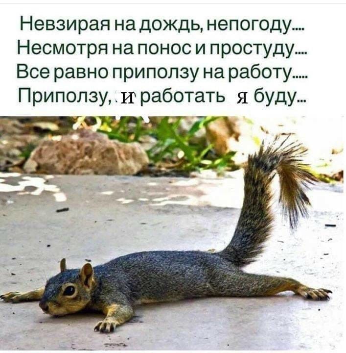 Невзирая на дождь непогоду Несмотря на понос и простуду Все равно приползу на работу Приползу и работать я буду