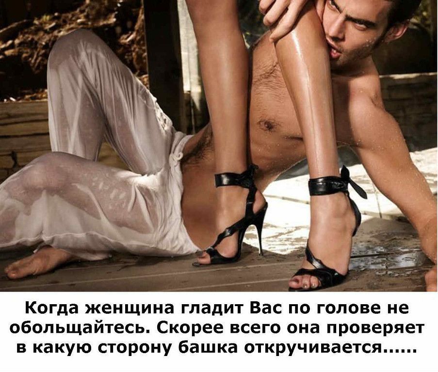 Когда женщина гладит Вас по голове не обольщайтесь Скорее всего она проверяет в какую сторону башка откручивается