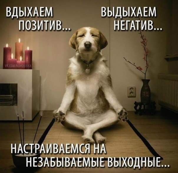 вдыхАЕм ВЫДЫХАЕМ _ НЕГАТИВ