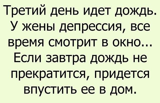 Третий день идет дождь У жены депрессия все время смотрит в окно Если завтра дождь не прекратится придется впустить ее в дом