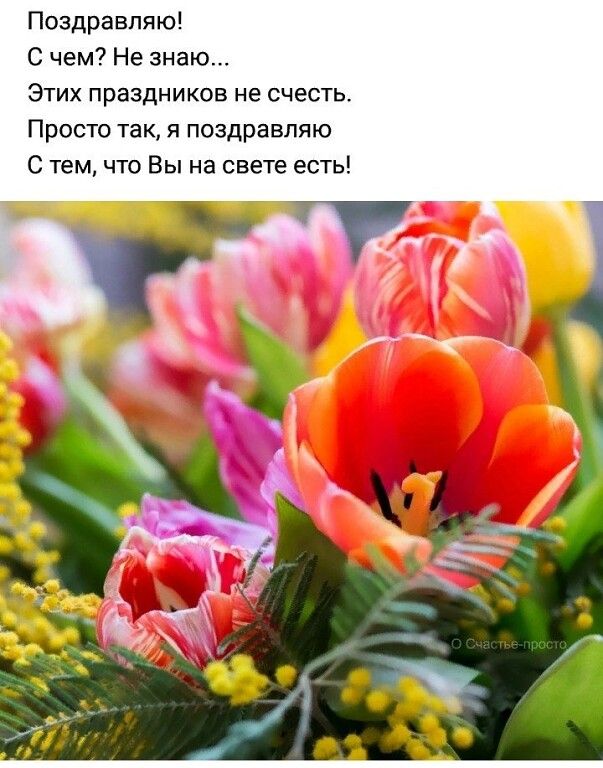 Поздравляю С чем Не знаю ЭТИХ ПраЗДНИКОВ не счесть Просто так я поздравляю С тем что Вы на свете есть