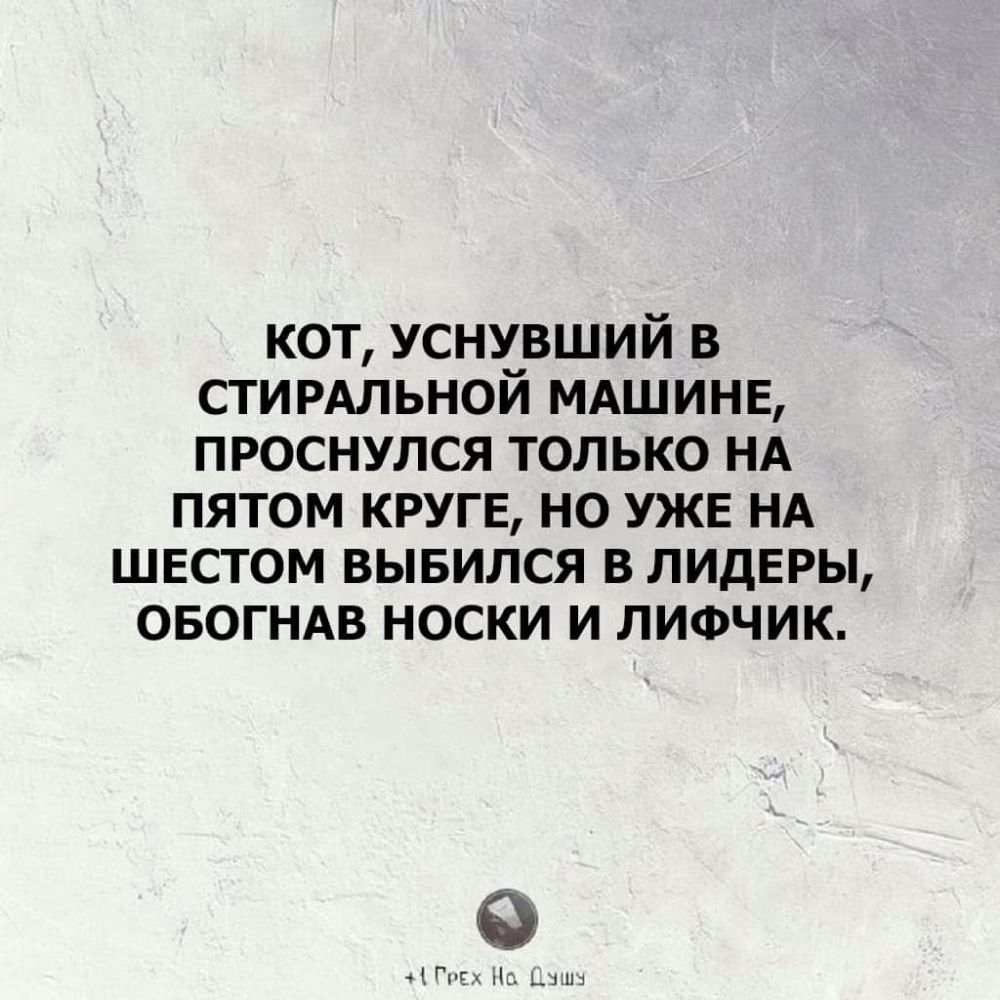 кот уснувший в СТИРАЛЬНОЙ МАШИНЕ проснулся только НА пятом круге но УЖЕ НА швстом вывился в лидеры овогндв носки и ЛИФЧИК ГПЁ Ь д