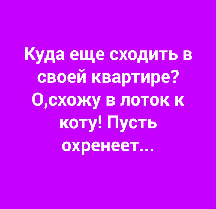 КУда еще сходить в свсей квартире 00хожу в поток и Коту Пусть Охрана