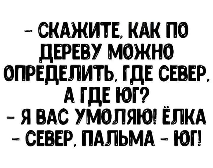СКАЖИТЕ КАК ПО дЕРЕУ МОЖНО ОПРЕДЕЛИТЬ ГДЕ СЕВЕР А ГДЕ ЮГ Я ВАС УМОЛЯЮ ЁЛКА СЕБЕР ПАЛЬМА ЮГ