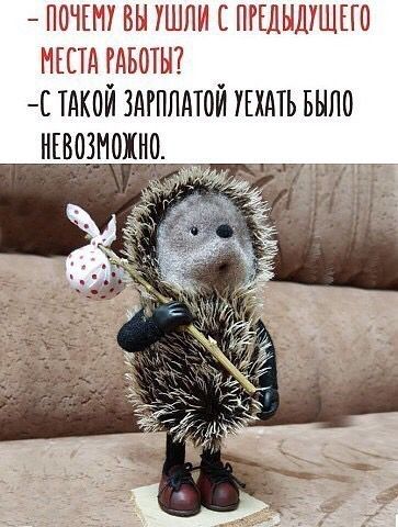 ПОЧЕМУ ВЫ УШПН С ПРЕДЫШШПО НЕСТД РАБОТЫ Е ТАКОЙ ЗАРПЛАТОЙ УЕХАТЬ БЫЛО НЕВЩОЖНО