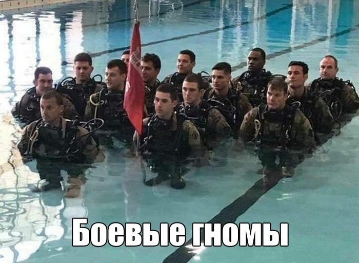 ЁЁоеВЫеёномы