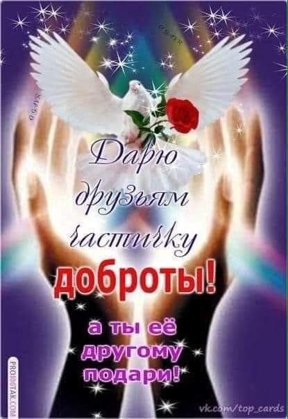9 25 алт тиши