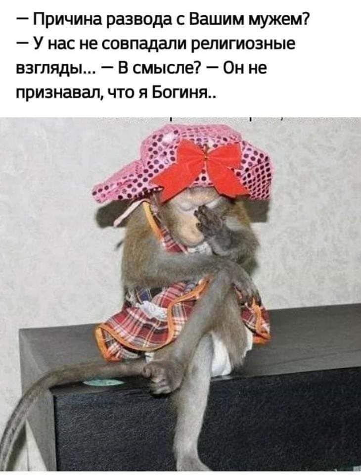 Причина развода с Вашим мужем У нас не совпадали религиозные взгляды В смысле Он не признавал что я Богиня